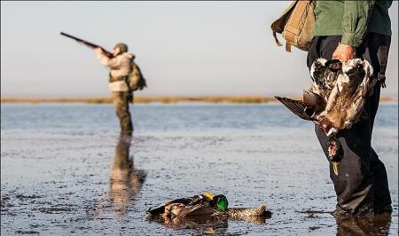  نسل‌کشی پرندگان مهاجر در جنوب/خوزستان فریدونکنار نشود