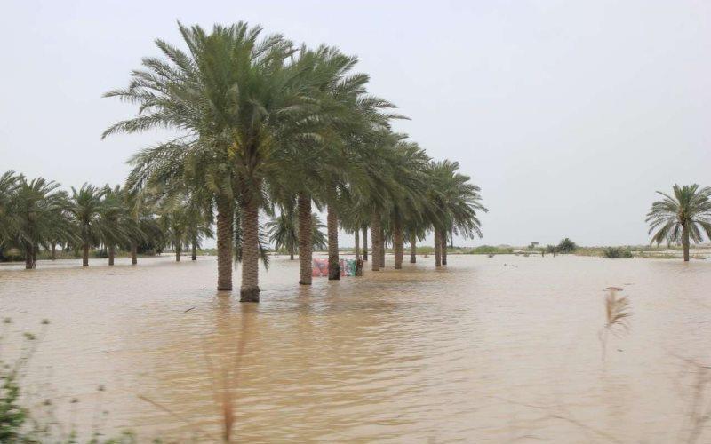  آخرین وضعیت سیلاب در تالاب شادگان