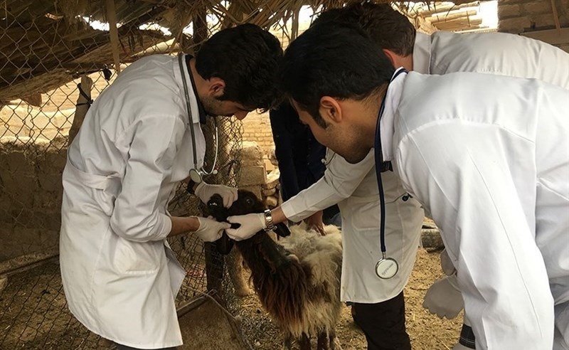 واکسیناسیون دام های سبک علیه طاعون نشخوارکنندگان کوچک و آبله در کارون