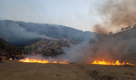 ادامه تلاش‌ها برای مهار آتش‌سوزی در کوه دلا اندیکا