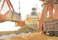 ترخیص بیش از 230 هزار تُن نهاده دامی در نیمه نخست سال